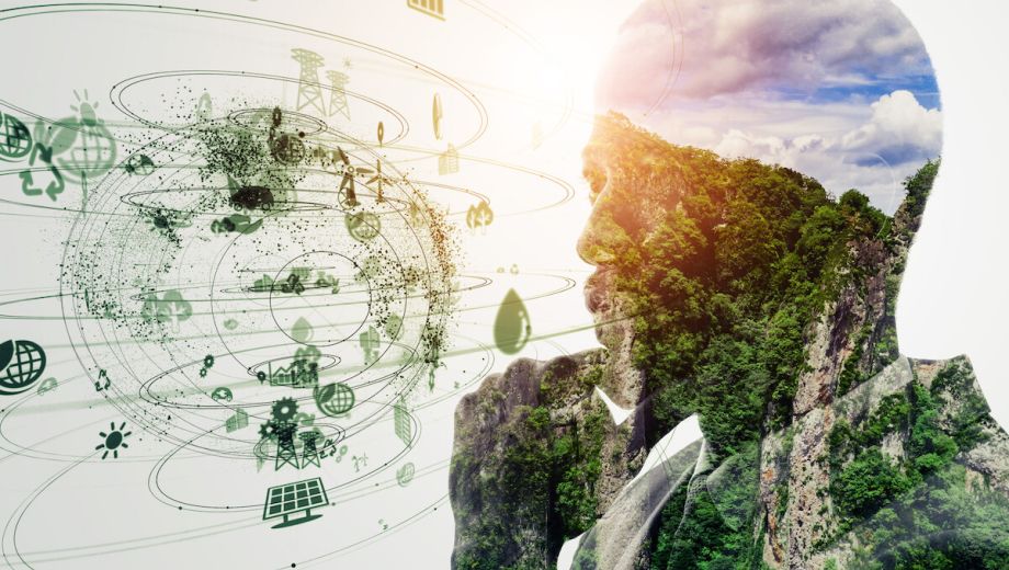 Új trend: az IT szektor is törekszik a fenntarthatóságra